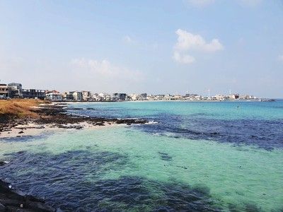 [#제주도 여행 기록] [제주 월정리 숙소] 월정씨하루 (+편백...