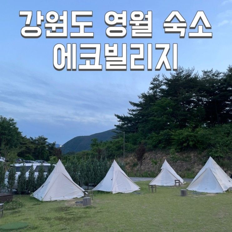 영월 숙소/ 에코빌리지 유스호스텔(Eco Village, 의도된...