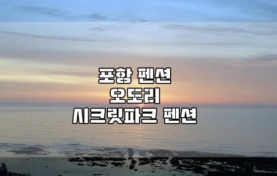 포항 펜션 오도리 시크릿파크펜션에서 친구들과~