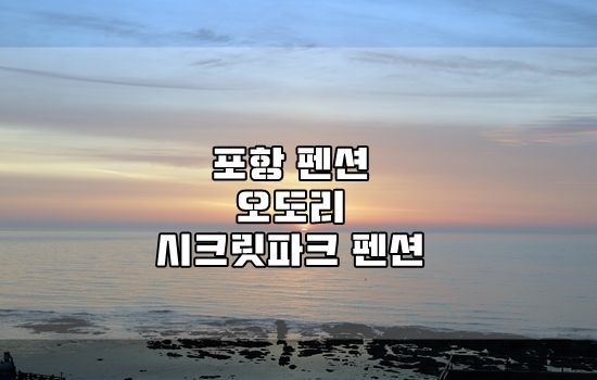 포항 펜션 오도리 시크릿파크펜션에서 친구들과~