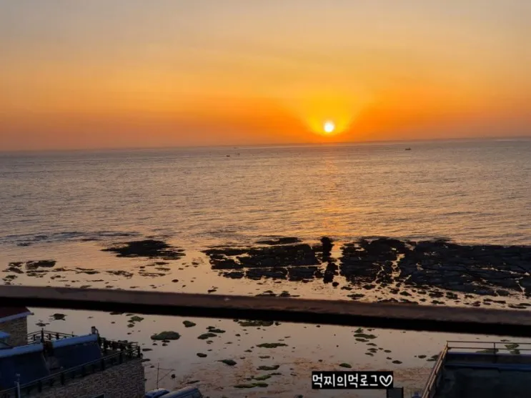 포항여행 2탄 숙소추천 시크릿파크펜션
