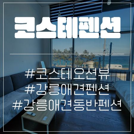 강릉 코스테오션뷰 애견동반 숙소 내돈내산 솔직 후기