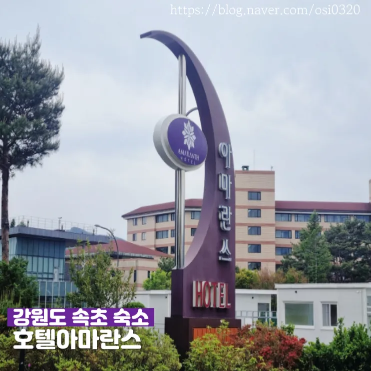 [속초] 서비스 끝판왕 설악워터피아 인근 숙소 '호텔아마란스...