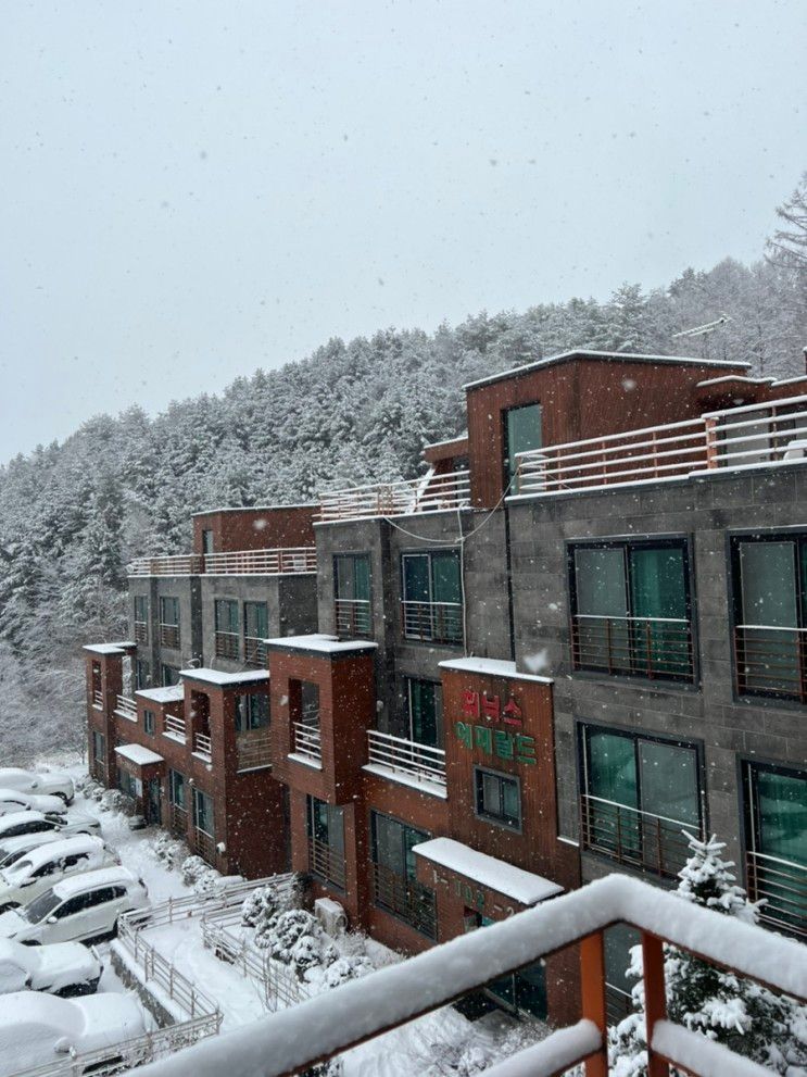 내돈내산 강원도 평창... 휘닉스파크 근처 '휘닉스 에메랄드 펜션'