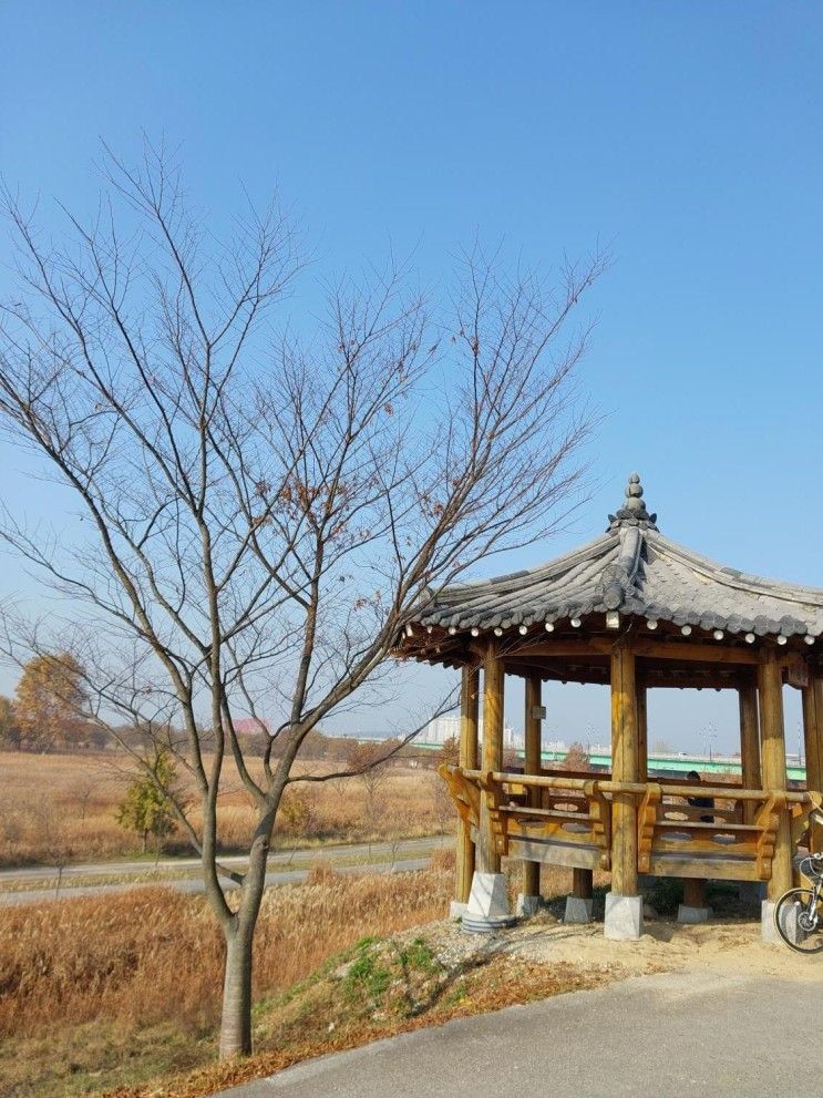 부여펜션 억새정원 힐링하고왔어요