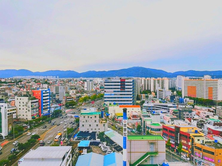 [울산호텔추천/ 울산여행] 깔끔한 2성급 호텔 호텔다움 만족...