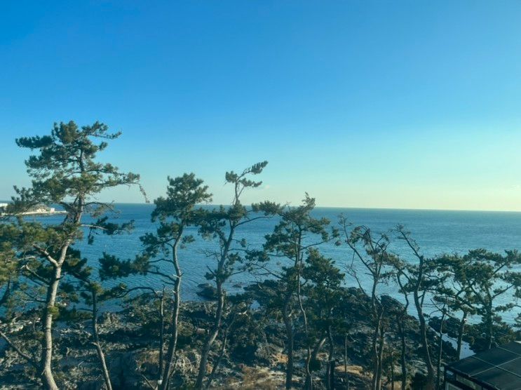 [포항] 가족 펜션으로 너무좋았던 오션뷰 파인웨이브 펜션