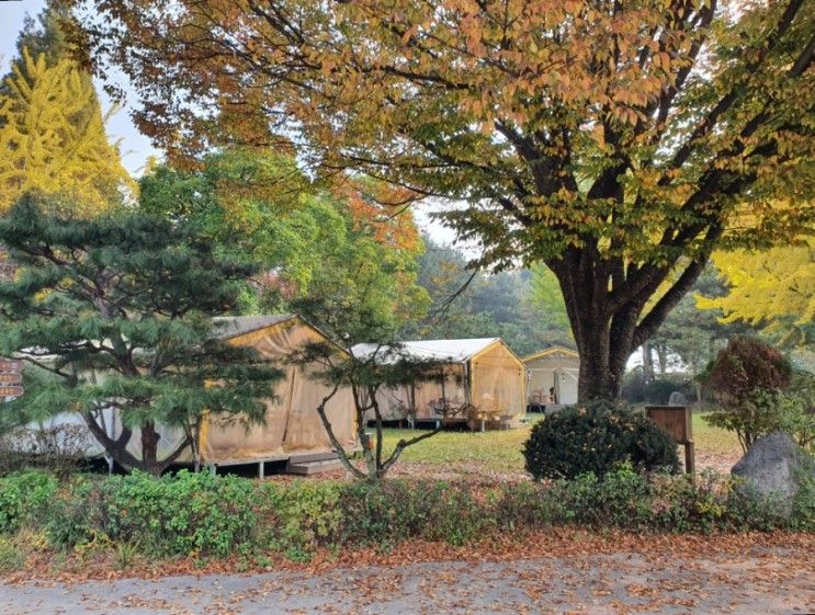 경기도 이천 글램핑 청암관광농원 후기 아일랜드