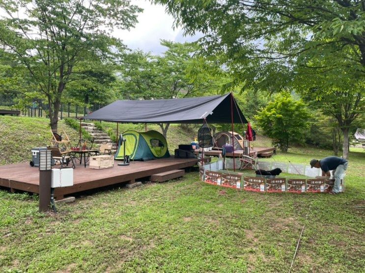 6번째캠핑⛺️인제 라이프도그