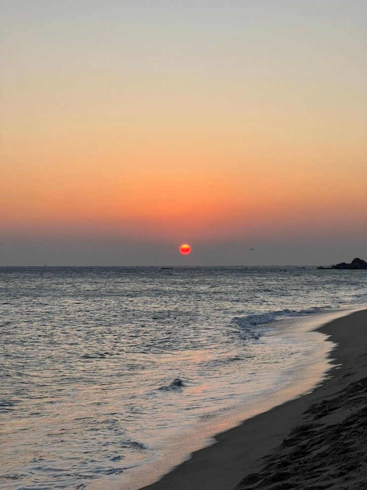 2023년 1월 1주차 - 강릉여행 2박3일