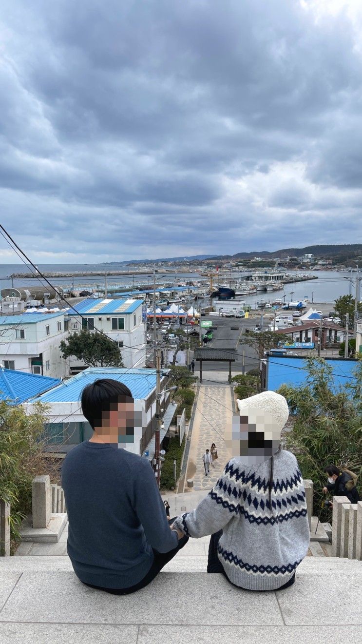 경주포항 3박 4일... 호미곶, 죽도어시장 회포장, 디오션펜션