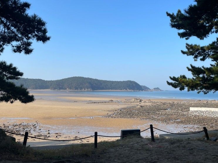 서해안 태안 캠핑 바다여행파크 바다뷰 캠핑장 미니...