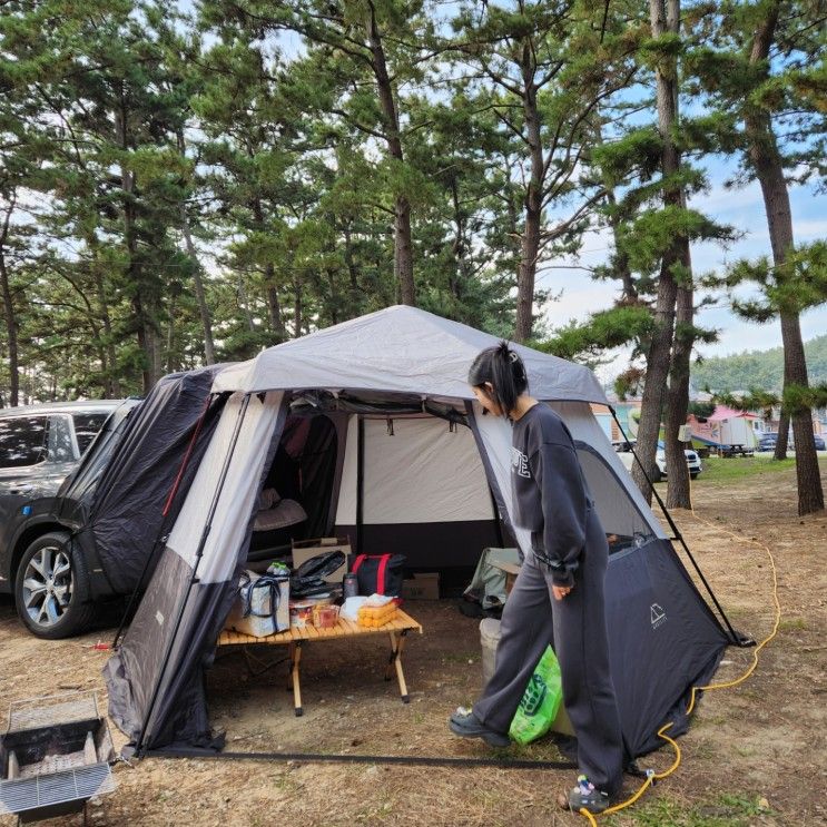 차박을 하고 싶다면 태안 바다여행파크 캠핑장 1탄 GOGO!!