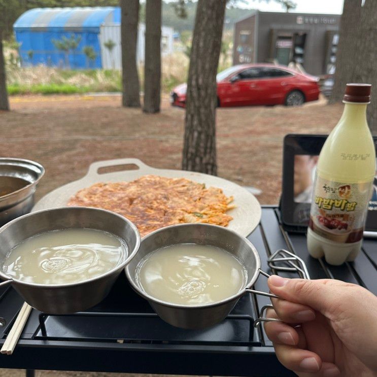 태안 바다여행파크 그리고 올레유 캠핑장, 카라반 이용 후기