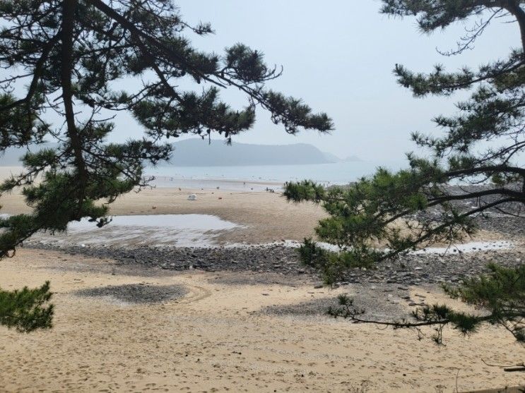 서해 바다뷰 태안 바다여행파크 캠핑장 이용 솔직후기