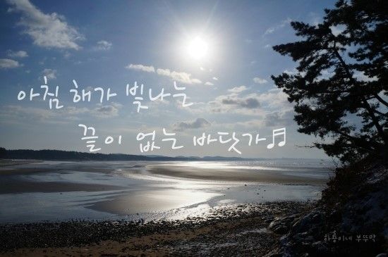 겨울바다여행 part 2. 태안 몽산포 홀리데이파크 구경하기.