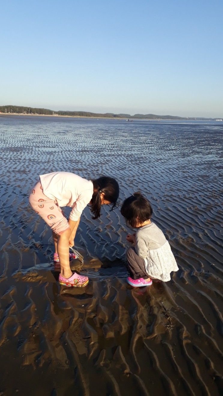 아이들 갯벌,물놀이#태안 몽산포 홀리데이 파크