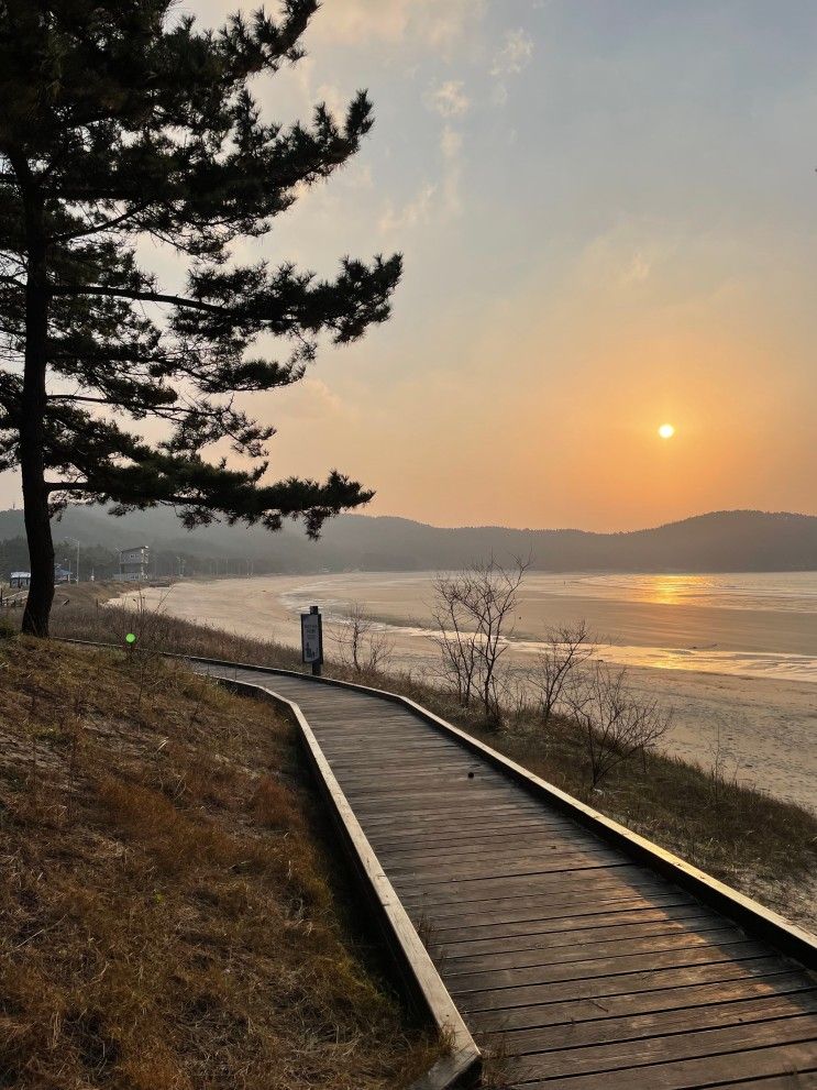 태안 오토캠핑장 뷰 예술이었던 바다여행 파크 글램핑