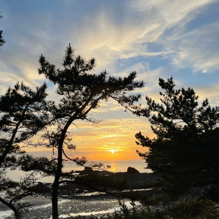 태안여행 + 바다 바로 앞 펜션... 캠핑장이 있는 바다여행파크 숙박