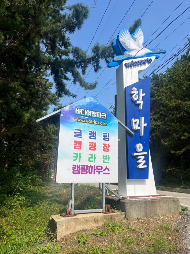 오션뷰 “바다여행파크오토캠핑장” 서해 바다 학암포 캠핑장