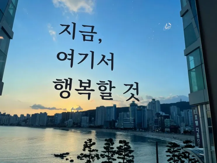 [광안리] 광안리해변 보이는 가성비짱 '디옴므호텔'