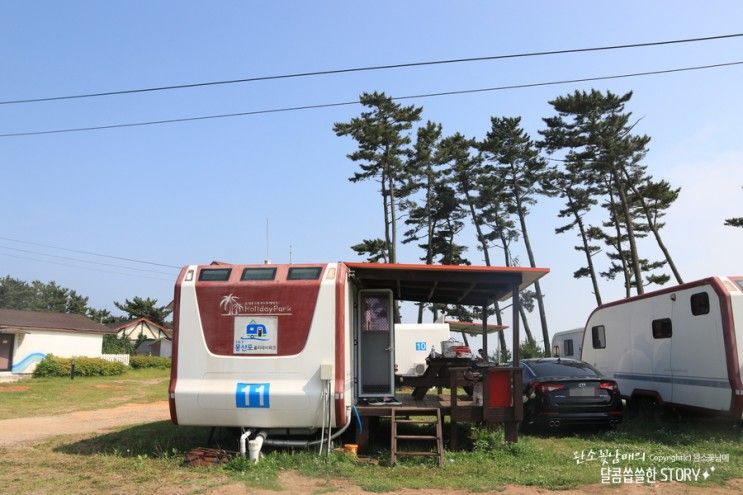 몽산포 홀리데이파크 태안카라반 숙박 바로 앞이 갯벌!