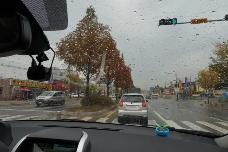[충남/태안 카라반 캠핑] 홀리데이 파크 - 몽산포