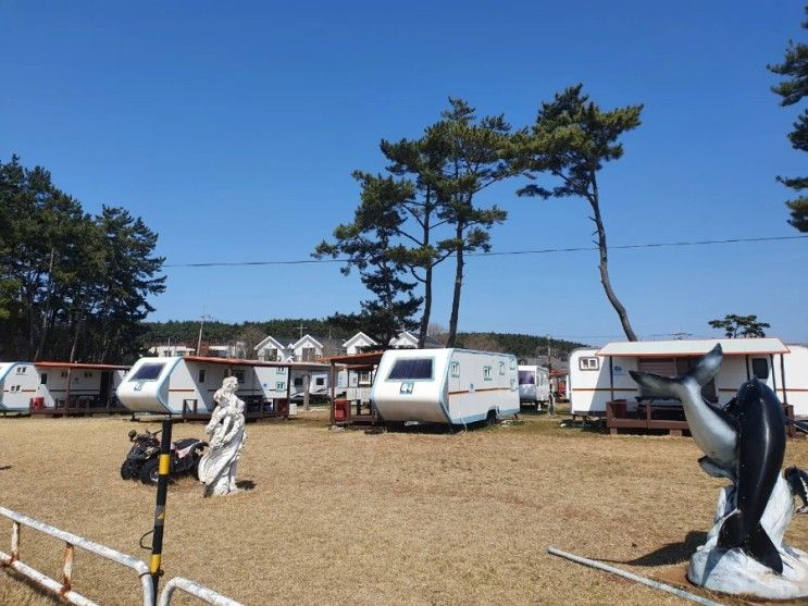 [태안 몽산포] 몽산포해수욕장 '몽산포 홀리데이 카라반' 숙소...