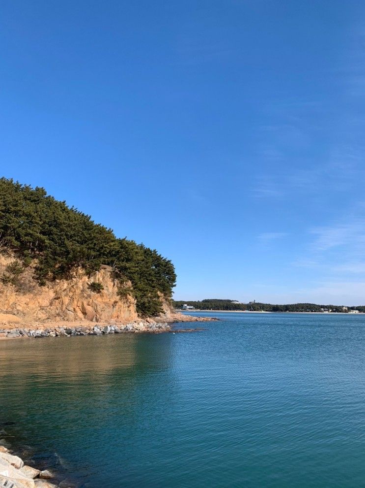 태안여행:설날:설연휴:명절여행:태안안면도:태안몰디브펜션...