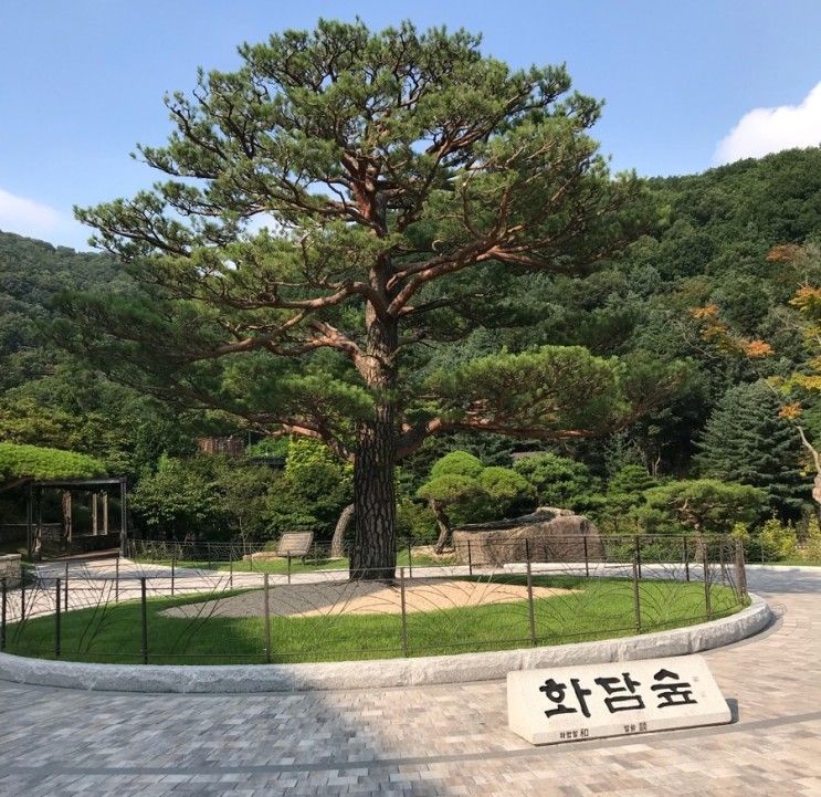 서울근교여행 곤지암 화담숲 & 근처 숙소 반딧불펜션 솔직 후기