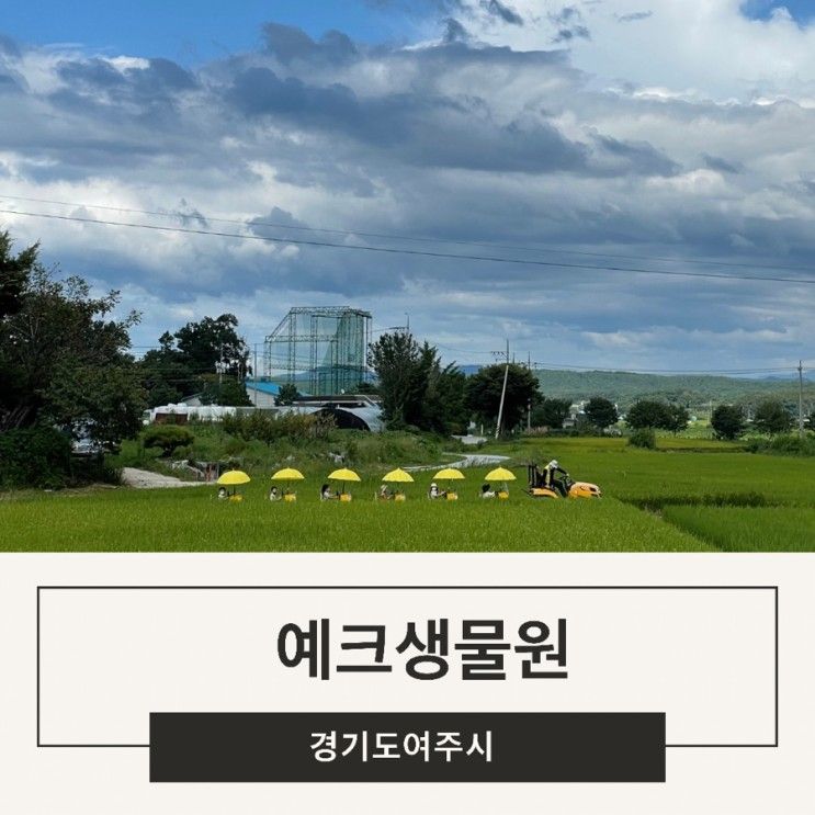 여주 아이와 가볼만한 곳 , 숲속놀이터 예크생물원