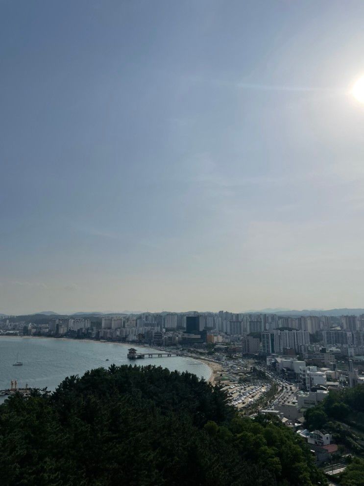 포항 여행 | 1박2일 여행 포항 제이 나인 풀빌라 투레빗 헤이안...