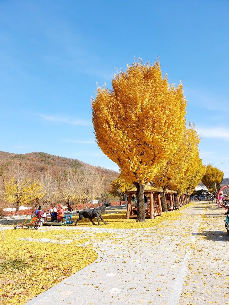 충주 아이랑 가볼만한곳 아이와 함께 오대호 아트팩토리에서 추억만들기