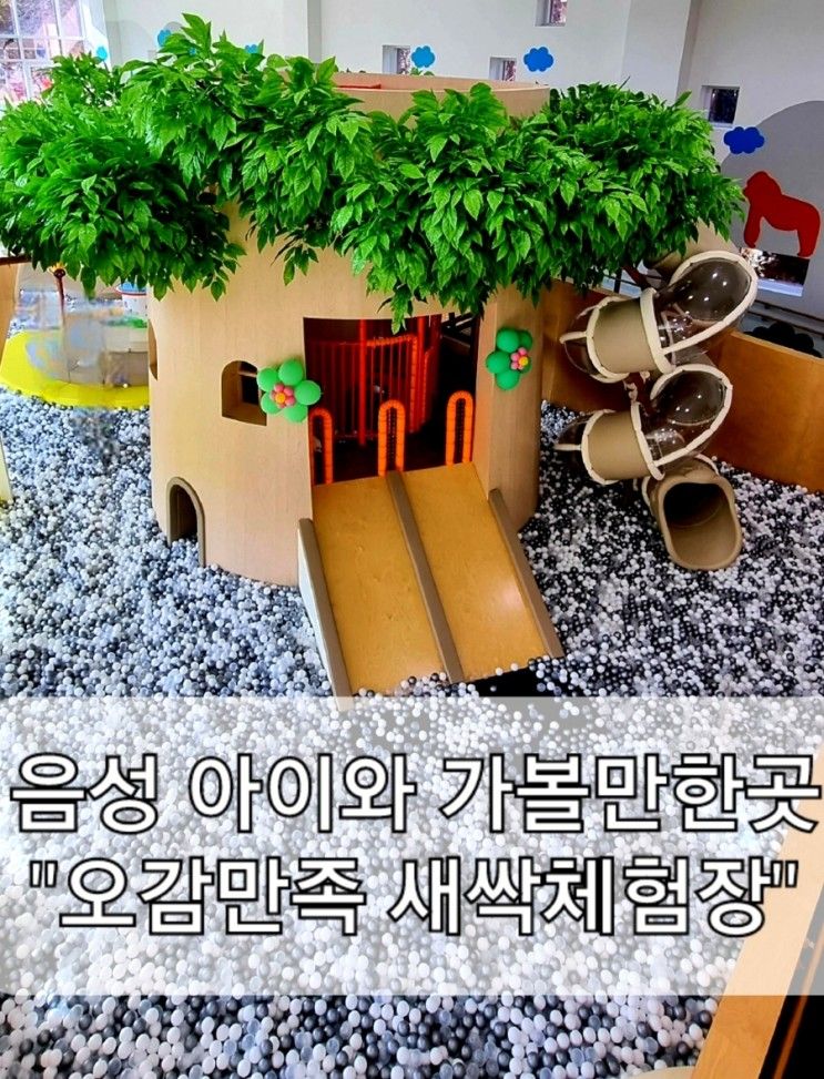 [충북 음성 아이와 가볼만한곳/서울 근교 아이랑 가볼만한곳] "오감만족새싹체험장"