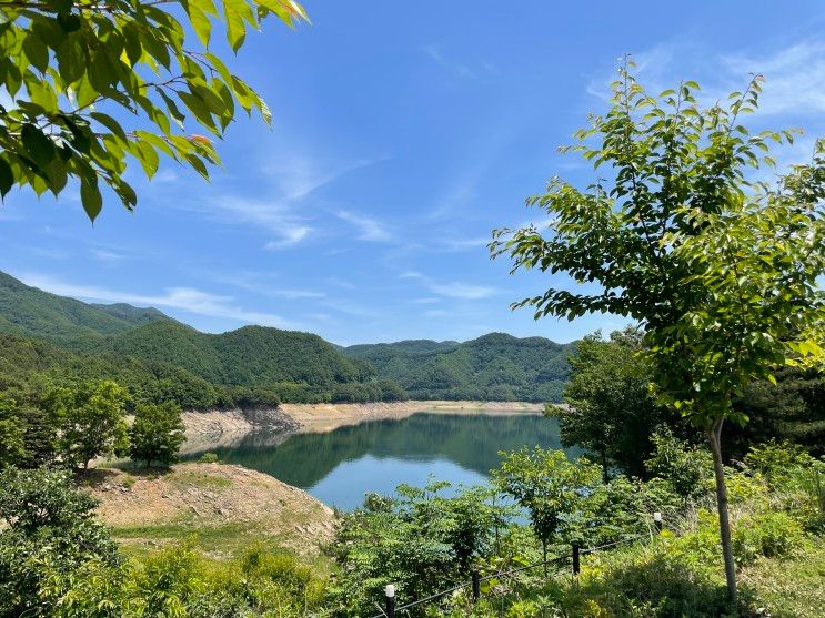 충주 근교 캠핑 ☀ 반짝반짝 충주호 뷰 충주호캠핑월드