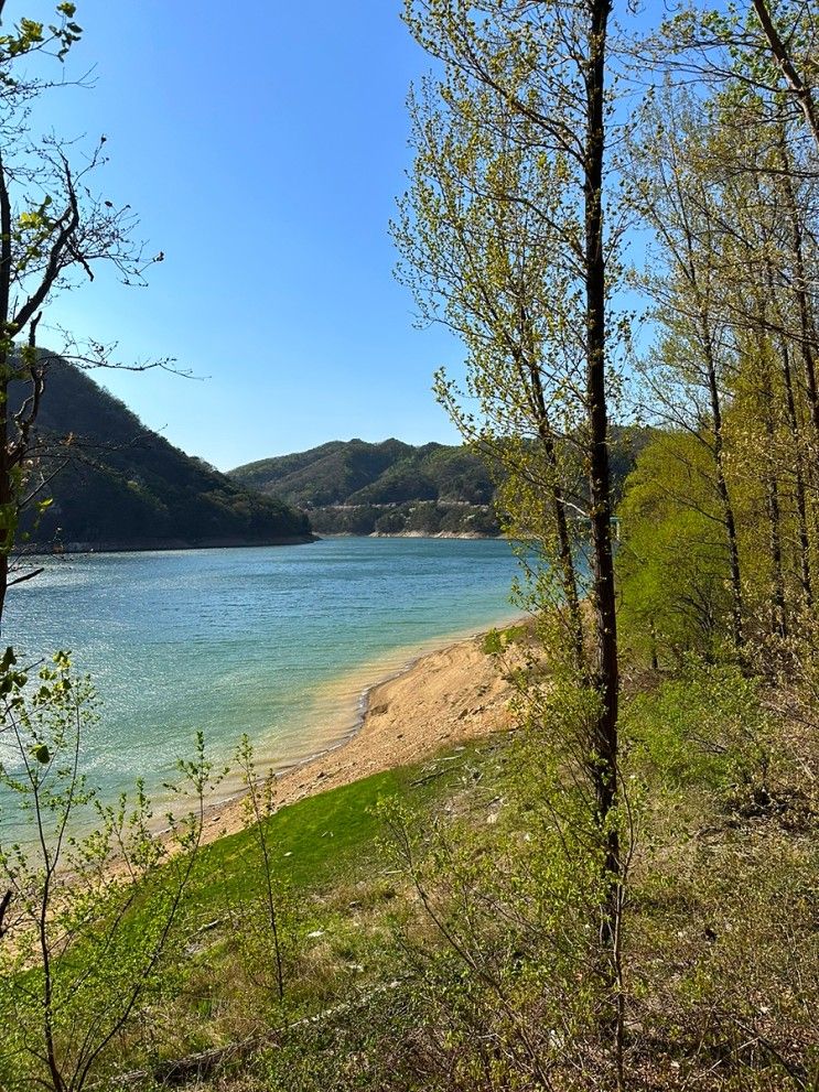 충주 캠핑장 [충주호 캠핑월드] 일반오토 명당 자리 추천