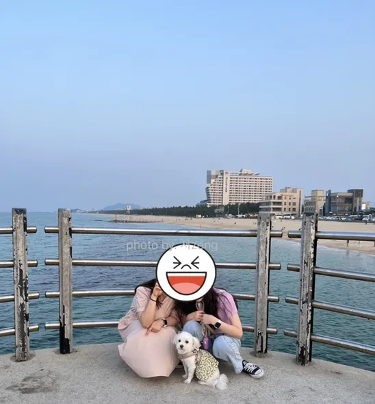 2일 강릉 여행 1 (feat.... 강문해변, 독도수산, 경포코지펜션)