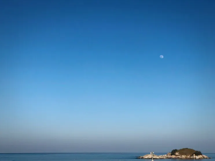 고성 반려동물 동반 펜션 1박2일 펜션 추천