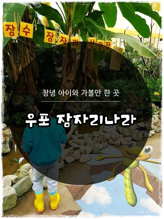 대구근교나들이 창녕 아이와 가볼만한곳 우포 잠자리나라 (창녕사랑상품권 이용)