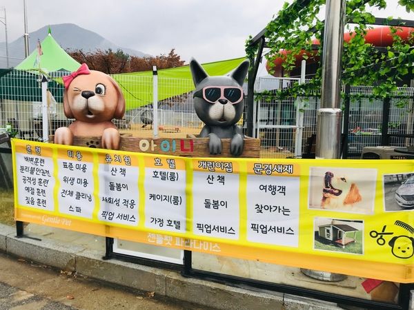문경새재 애견카페 젠틀펫 파라다이스