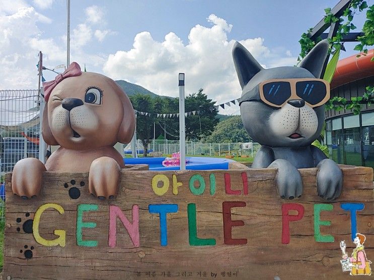 애견카페! 문경새재 반려동물 힐링센터 젠틀펫 파라다이스