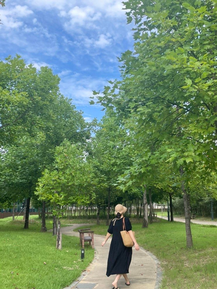 담양여행기록:국수거리,관방제림,죽녹원,카페 조아당,소아르호텔