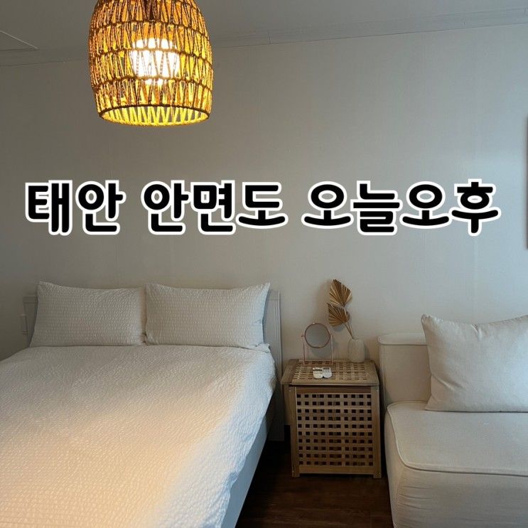 태안 안면도 여행 황도에 위치한 오늘 오후 펜션 고고싱...