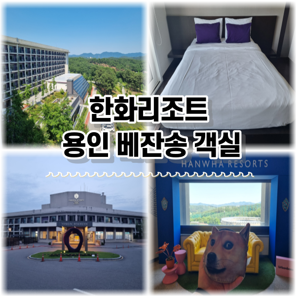 한화리조트 용인 베잔송 디럭스룸 내돈내산 숙박 후기 (혼자...