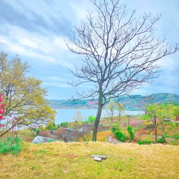 충남캠핑장 부여 진달래관광농원 캠핑장 [에어고 6.6 에어텐트]