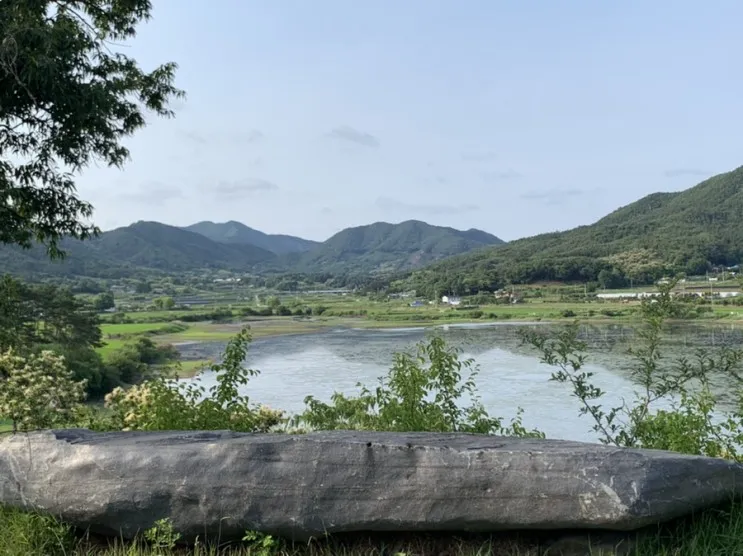 ⛺망구캠핑 :: 충남 부여군 진달래관광농원 명당 스팟 후기
