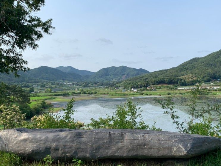 ⛺망구캠핑 :: 충남 부여군 진달래관광농원 명당 스팟 후기