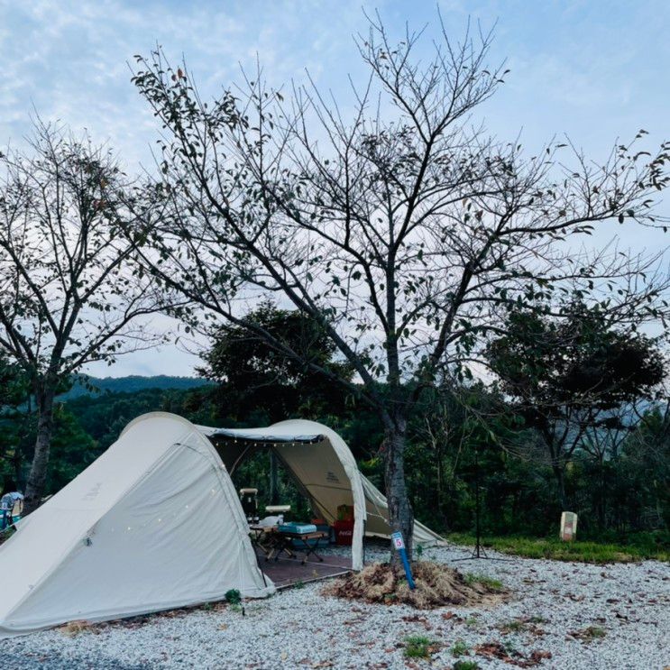 호수뷰)부여 옥산면_진달래관광농원