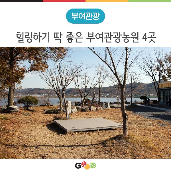 부여 관광농원에서 힐링하세요~