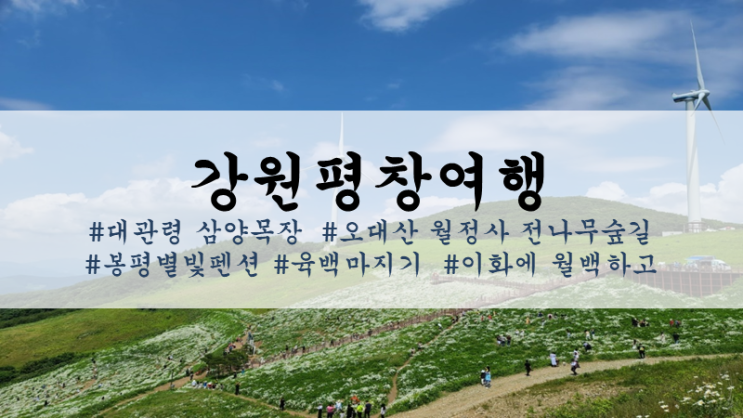 [강원평창여행:1박2일]대관령... 전나무숲길, 봉평별빛펜션...